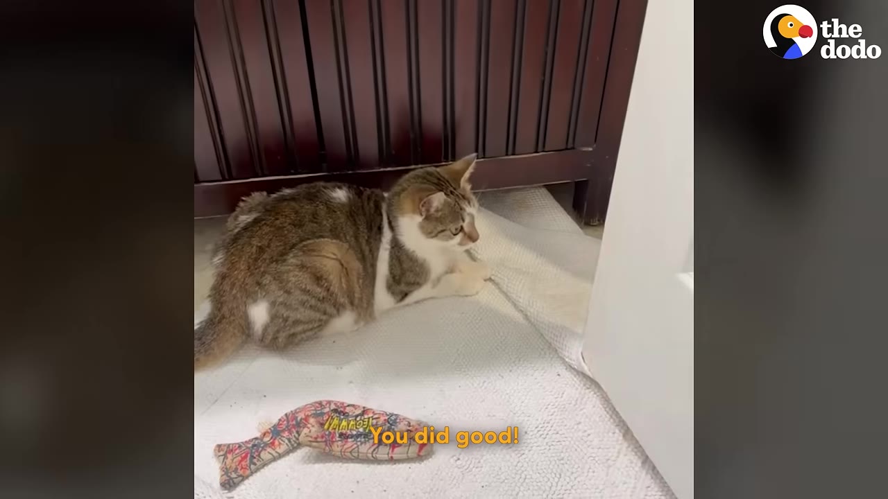 A brown and white tabby cat lies on a white towel on the floor, looking towards the crack of a closed white door.