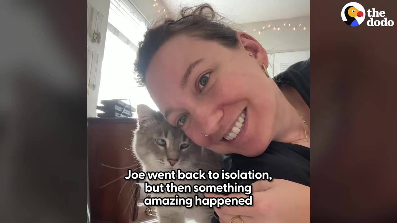 A smiling woman leans her head against a light gray cat indoors.