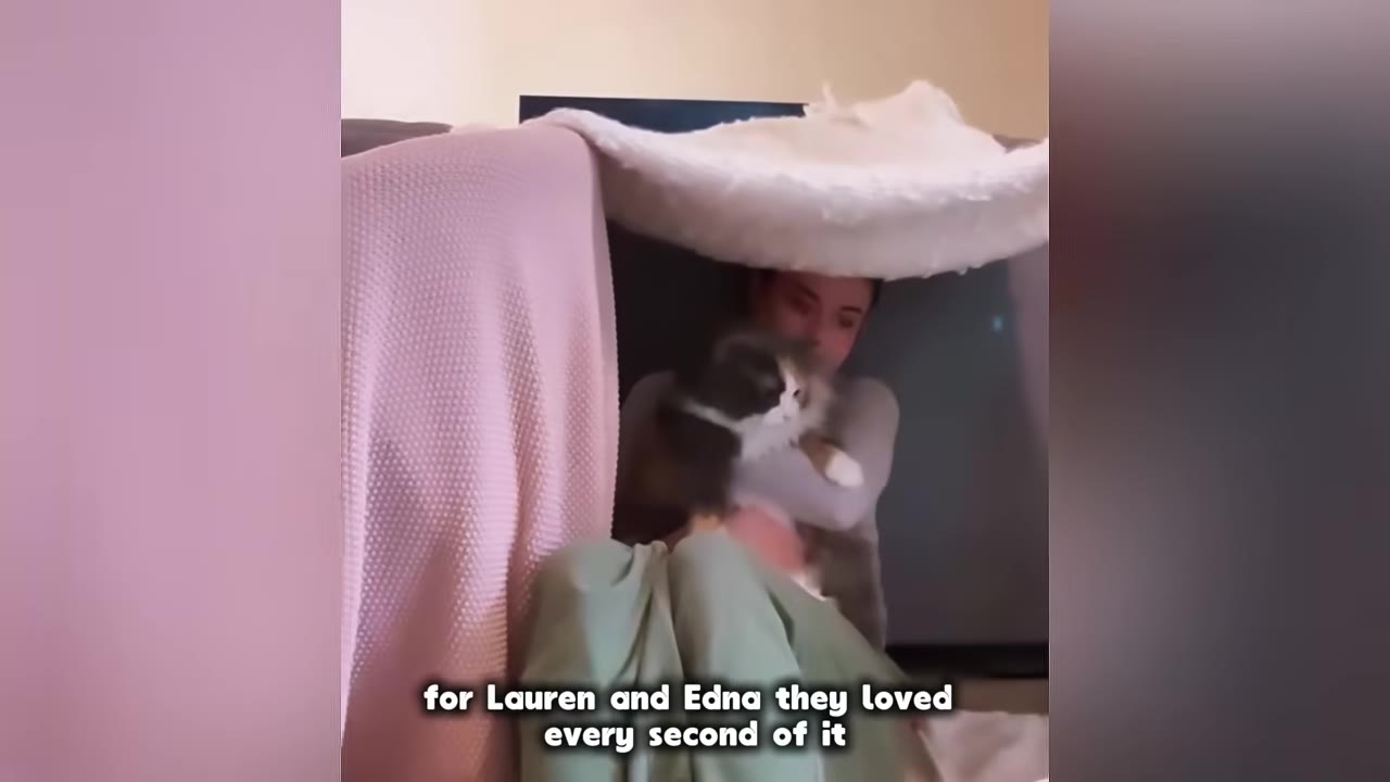 A person sitting inside a blanket fort made of pink and white blankets, holding a fluffy long-haired cat.