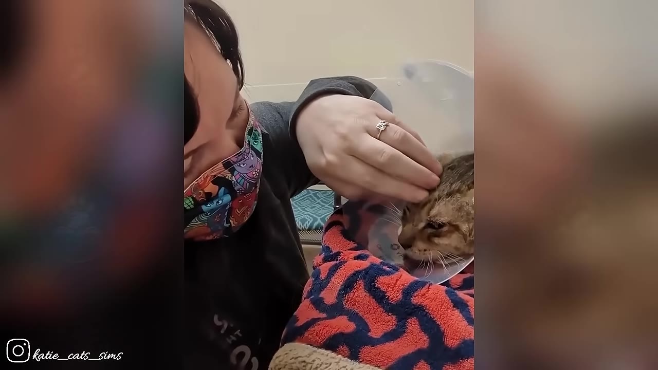 A close-up shot of a woman wearing a colorful patterned face mask gently petting a tabby cat wearing a plastic cone collar, wrapped in a red and blue patterned blanket.