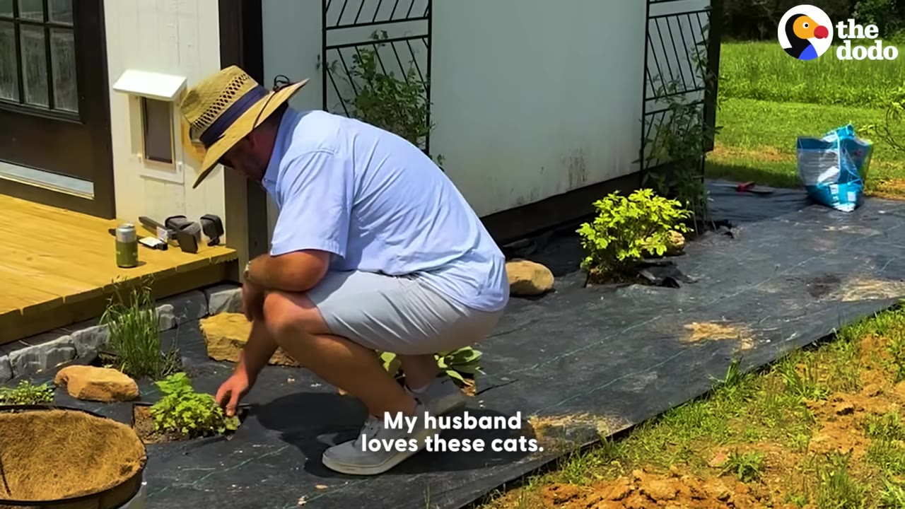 A man wearing a straw hat and a light blue shirt squats on black landscaping fabric to tend to a small green plant.