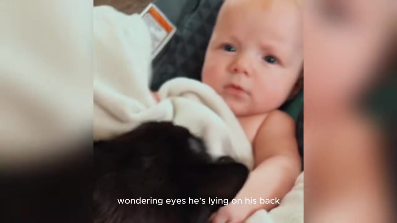 A close-up of a young baby with wide eyes looking down at a black cat nestled under a white blanket.