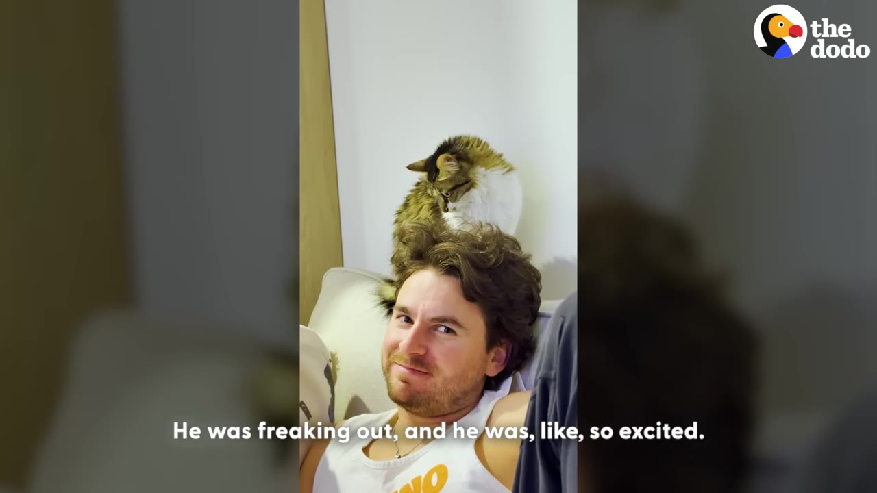 A fluffy brown and white cat sits perched on top of a smiling man's head as he reclines on a couch.