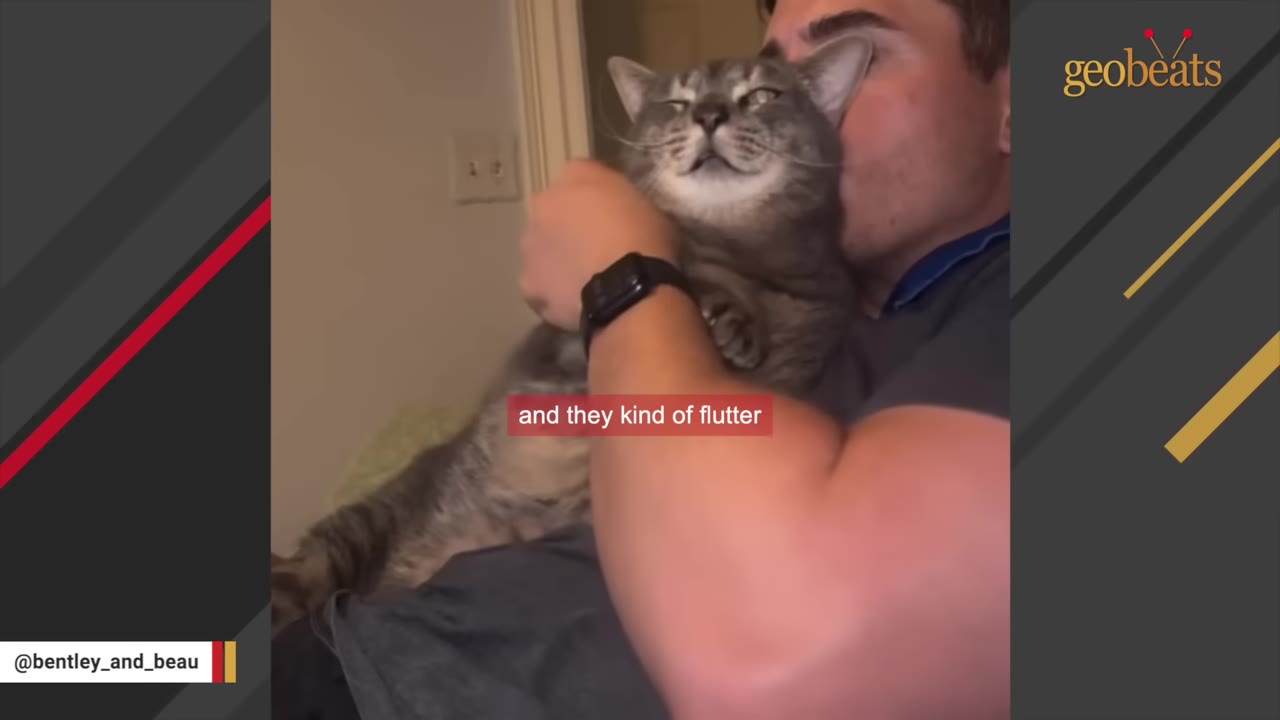 A man holds a grey tabby cat close to his face as the cat squints its eyes contentedly.