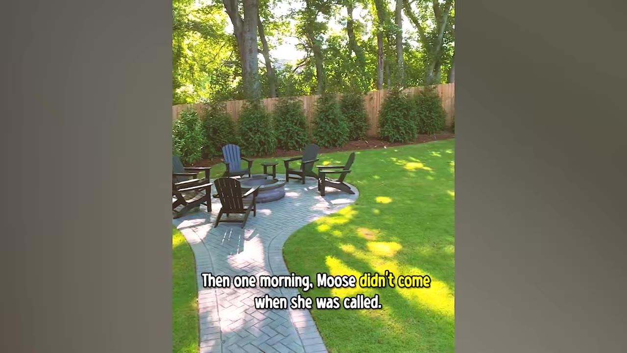 A sunny backyard with a stone patio, several outdoor chairs arranged around a fire pit, and a green lawn bordered by a wooden fence and trees.