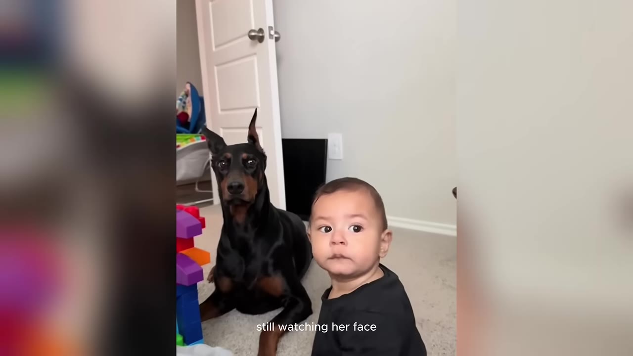 A close-up of a baby sitting on the floor next to an alert Doberman Pinscher, both looking directly at the camera with wide, serious eyes.