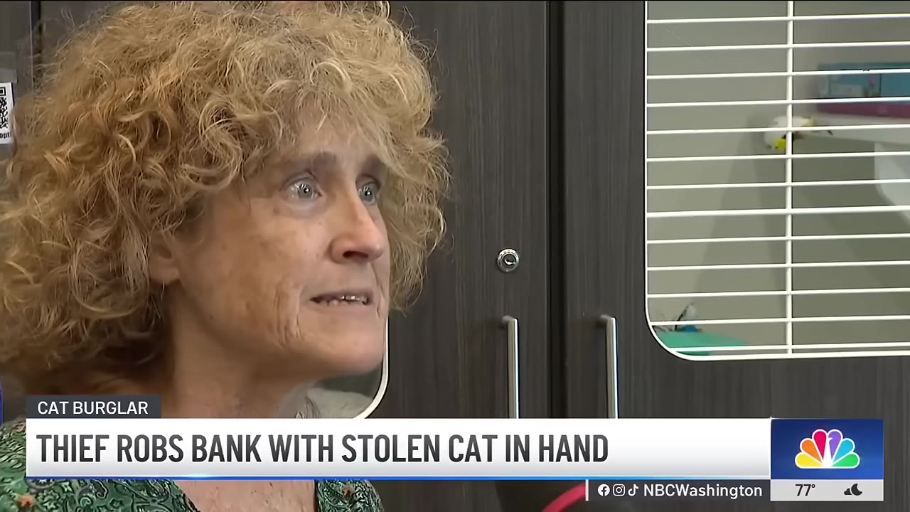 A woman with curly blonde hair looks on with a concerned expression during a news broadcast with the headline 'THIEF ROBS BANK WITH STOLEN CAT IN HAND'.