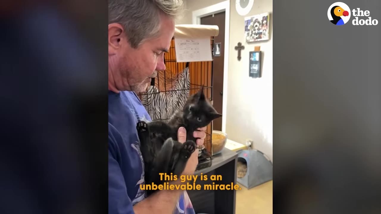 A man in a blue shirt holds a small black kitten named Bon Jovi in his arms, with text on screen reading 'This guy is an unbelievable miracle.'