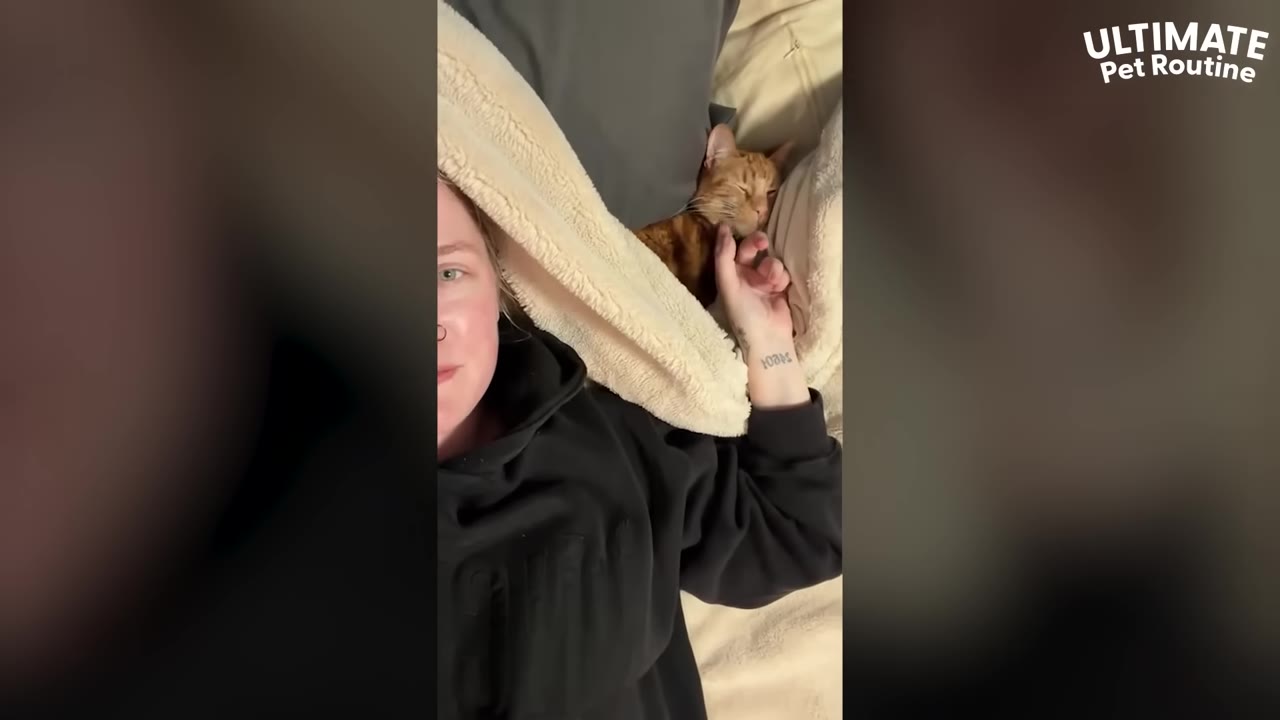 A woman in a black hoodie lies in bed next to her sleeping orange tabby cat, gently holding its paw.