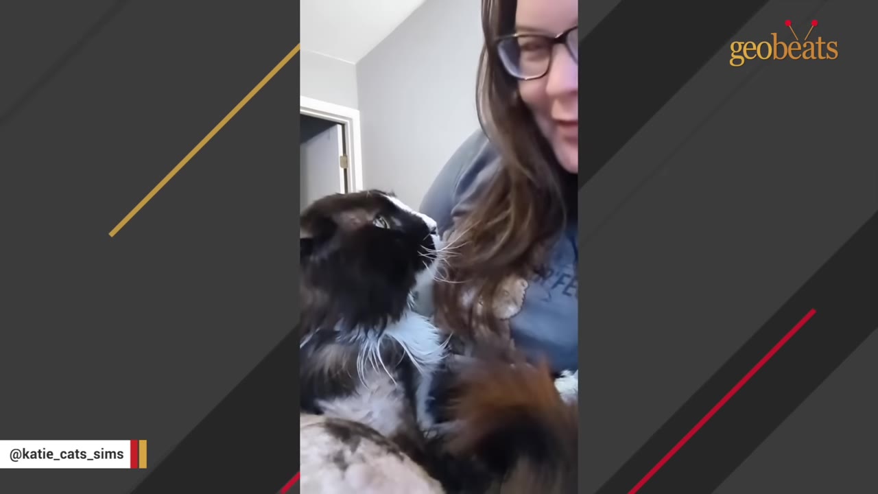 A fluffy black and white cat looks up affectionately at a smiling woman wearing glasses.
