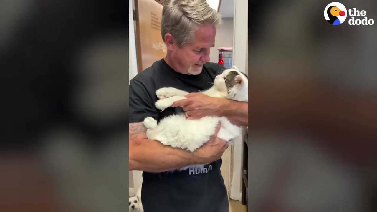 A man with grey hair cradles a large white and grey cat in his arms, looking down at it affectionately as the cat looks back up at him.