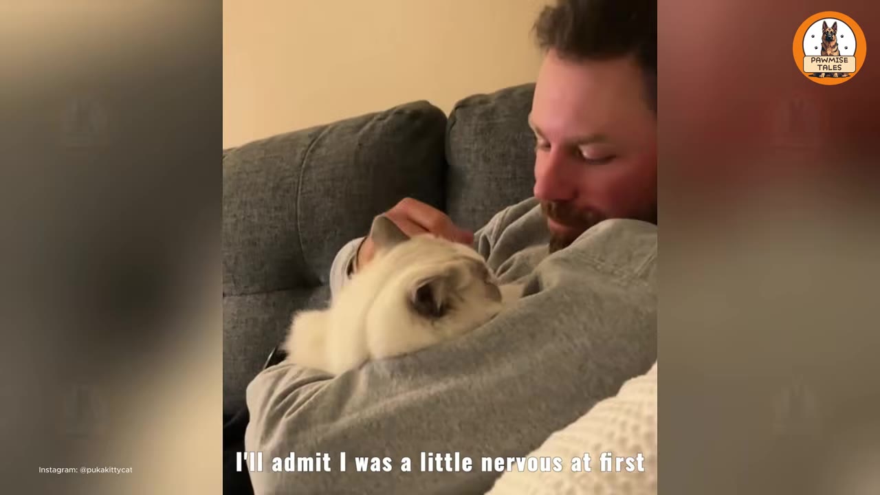 A man sitting on a grey couch, cradling and petting a fluffy white cat in his arms.