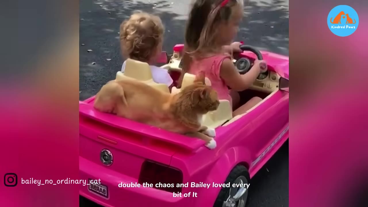 An orange cat named Bailey rides on the back of a pink toy car driven by two young girls.