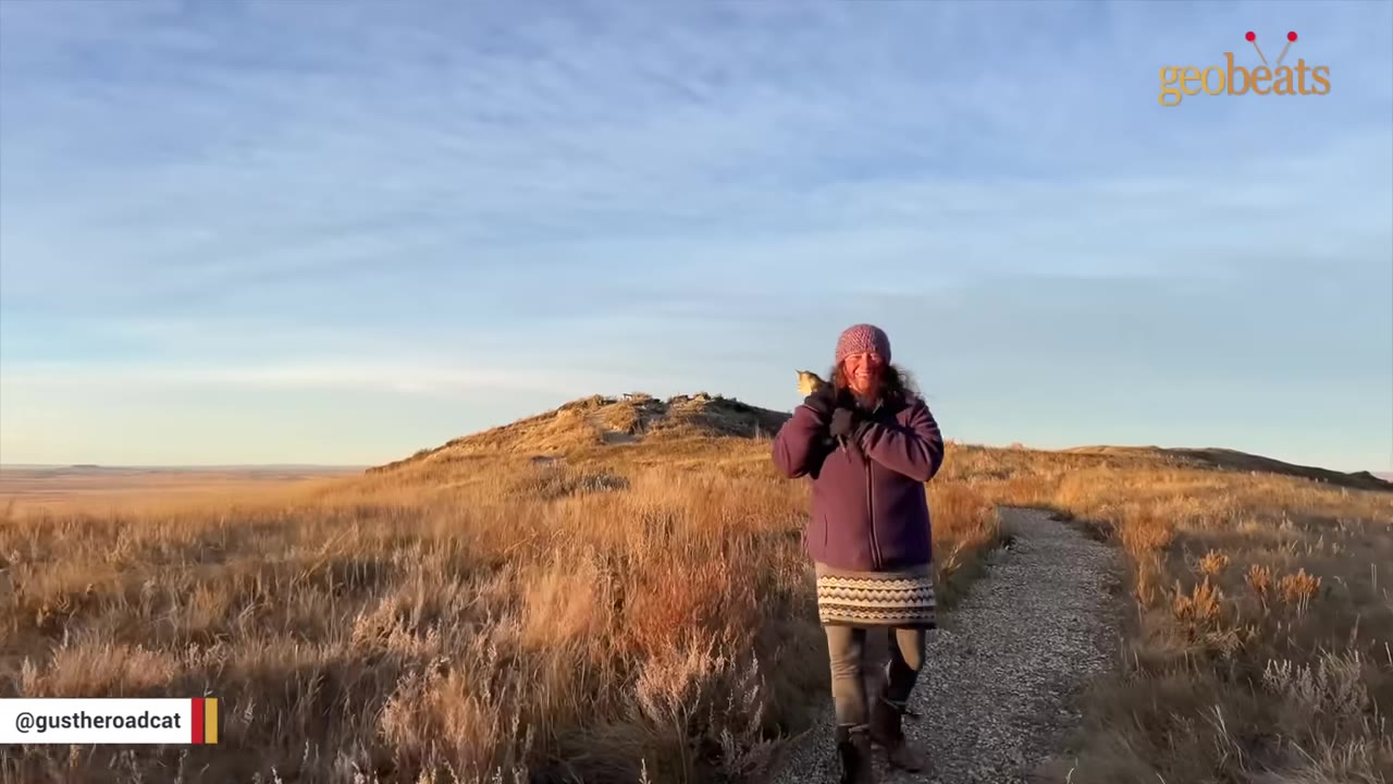 A woman wearing a purple jacket and a knit hat walks along a dirt path in a grassy field with a small cat perched on her shoulder.