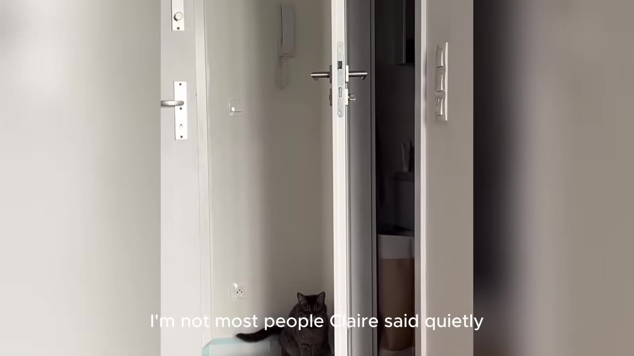A dark grey cat sits on the floor near an open white door inside a home.