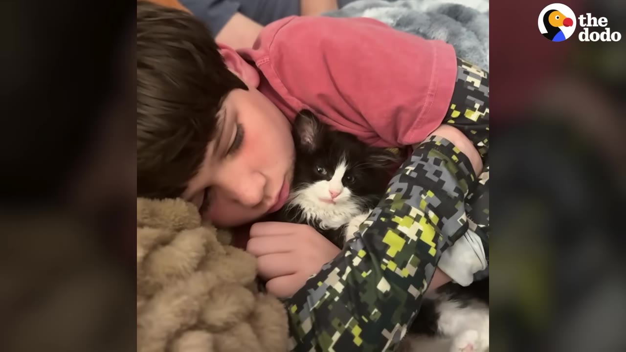 A young boy with brown hair cuddles a small black-and-white kitten close to his face while lying down.