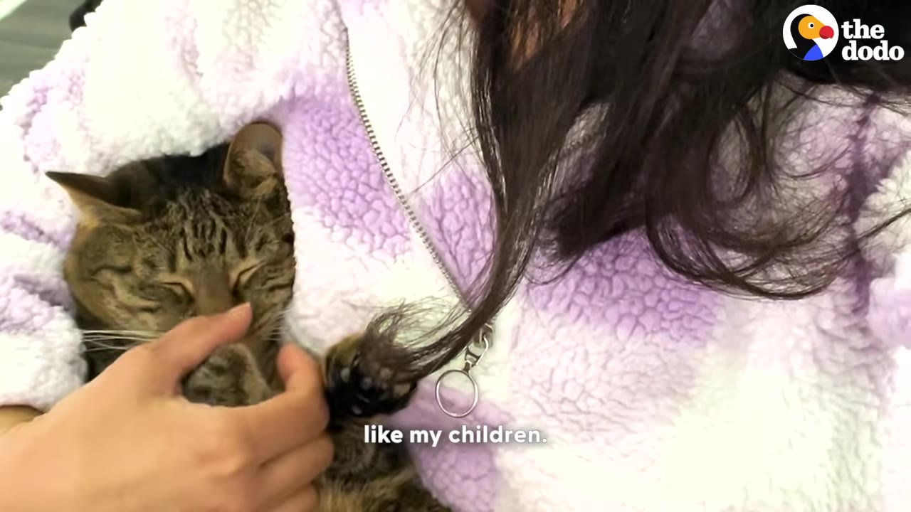 A close-up of a tabby cat tucked inside a woman's purple and white fleece jacket as she gently pets its face.