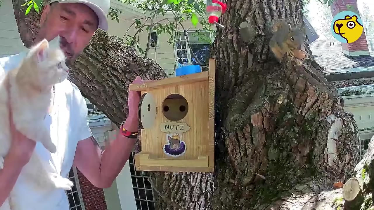 A man holds a light-colored kitten near a tree trunk where a wooden squirrel house labeled 'NUTZ' is mounted, while a small grey squirrel sits on a branch nearby.