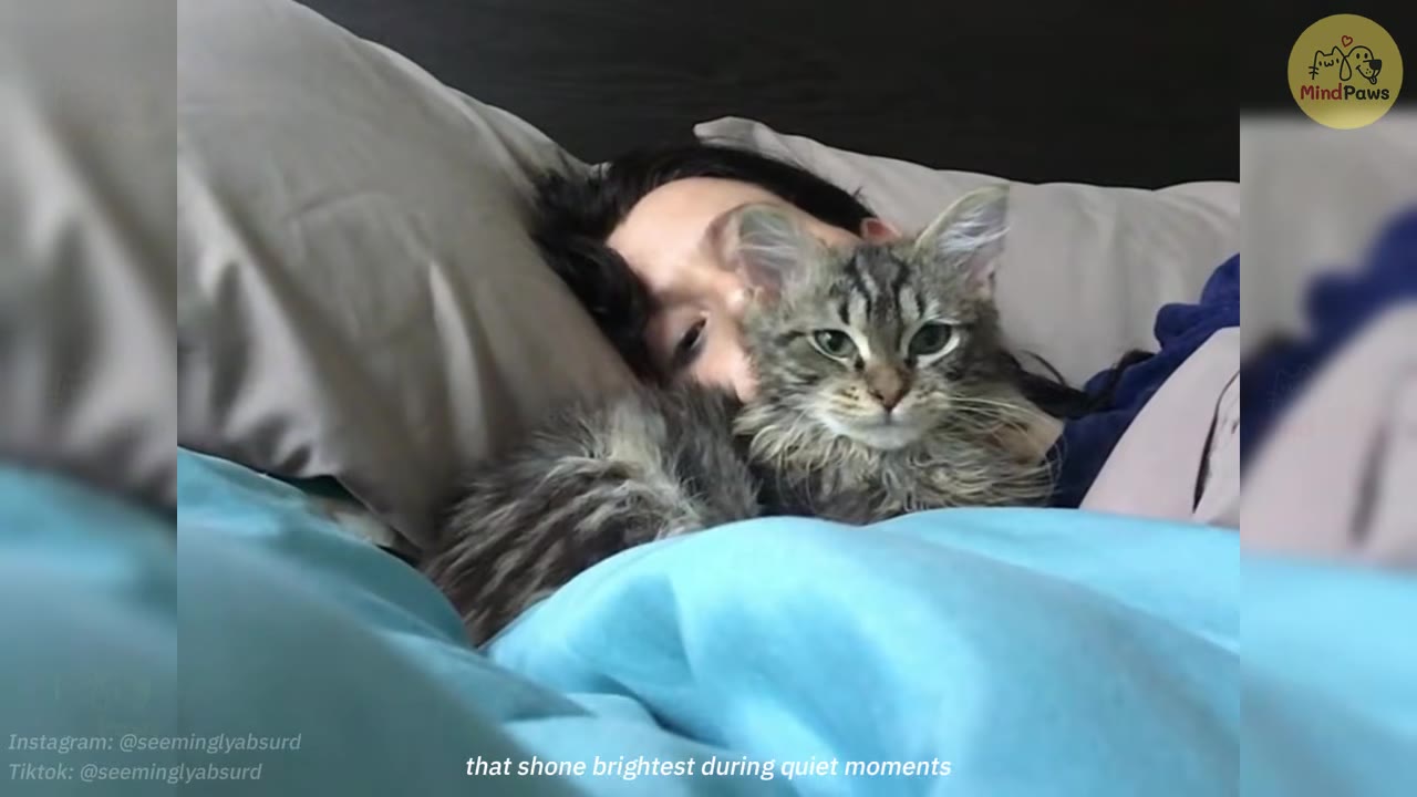 A fluffy tabby cat lies in bed next to a person resting their head on a pillow under a blue blanket.