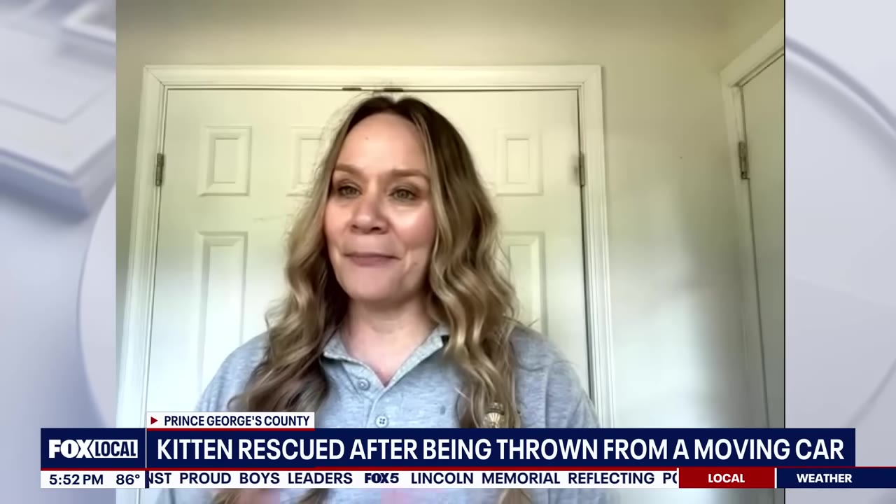 A woman with long wavy hair wearing a grey collared shirt stands in front of a white door, with a news banner below reading 'KITTEN RESCUED AFTER BEING THROWN FROM A MOVING CAR'.