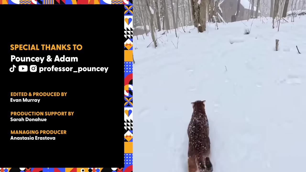 Video frame for The Best Kind Of Companionship