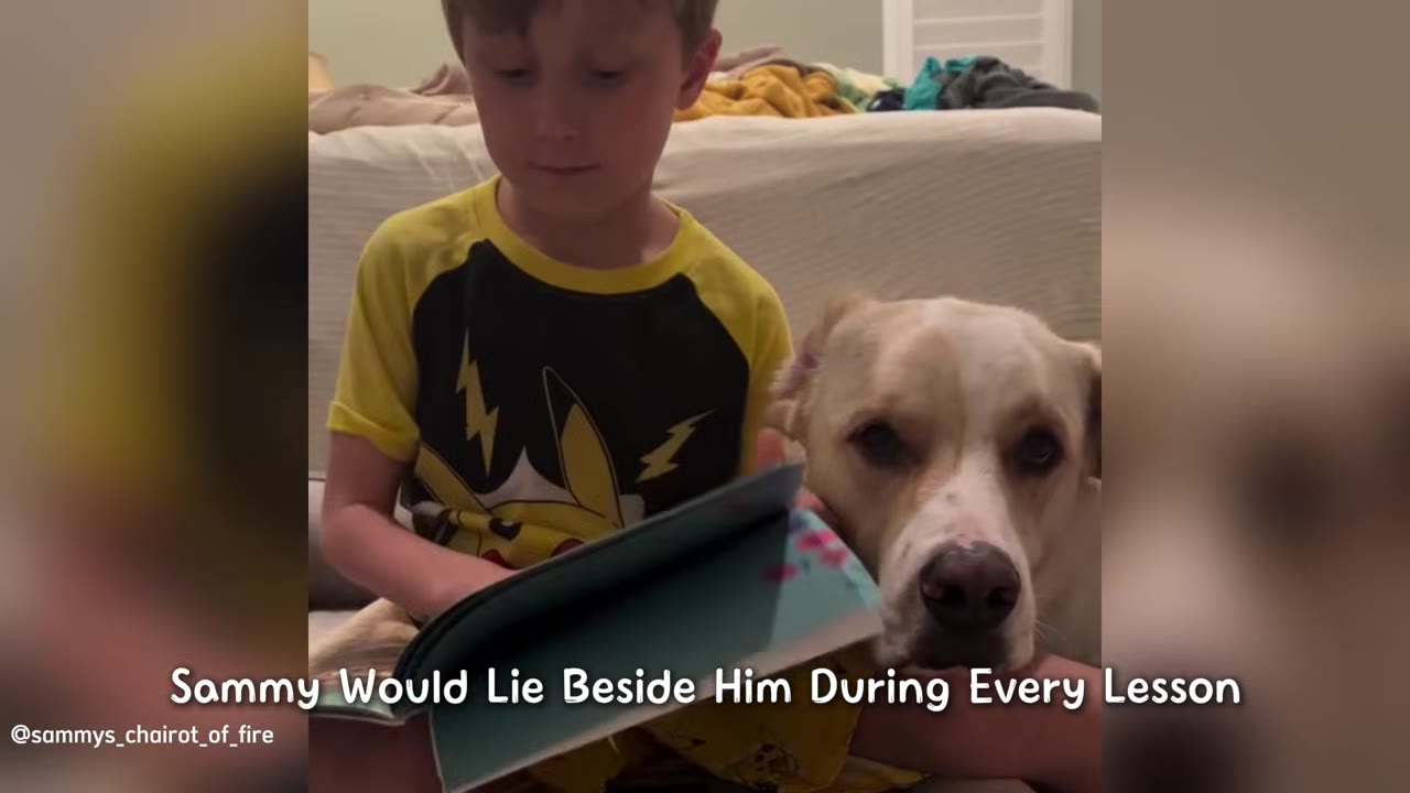 A young boy in a yellow and black Pikachu shirt reads a book while a light-colored dog rests its head on his lap.