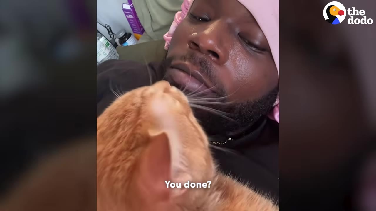 A close-up of a man wearing a pink satin bonnet looking down affectionately at an orange tabby cat close to his face.