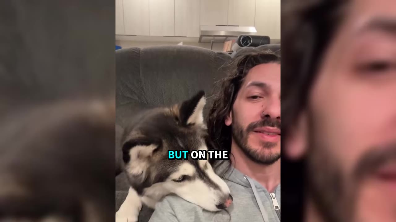 A husky rests its head gently on a man's shoulder as they sit together on a couch.