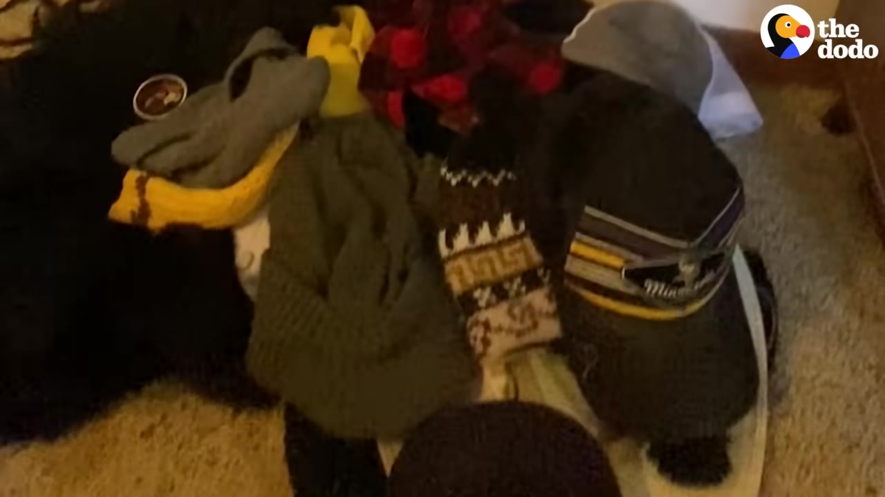 A pile of various hats, including knit beanies and baseball caps, accumulated on a carpeted floor.