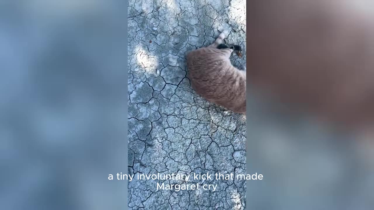 An orange tabby cat lying on its side on dry, cracked earth.