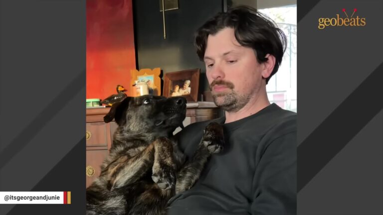 California Rescue Dog Bounced Between Fosters Finally Finds Her Sun And Moon