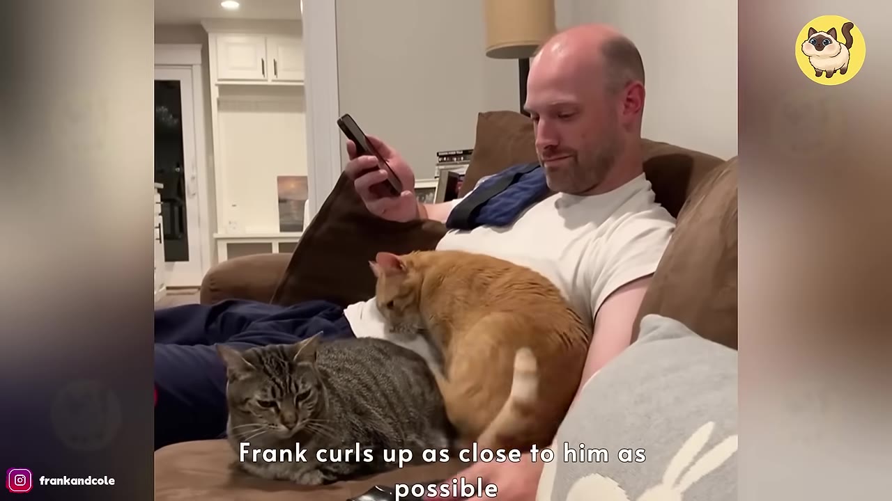A man sitting on a brown couch looking at his phone while a tabby cat and an orange cat curl up close to him.