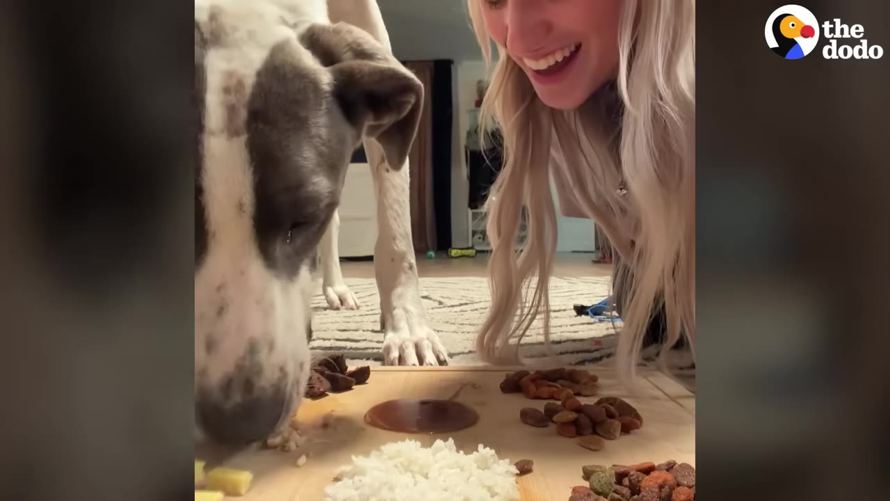 A smiling blonde woman sits on the floor next to her large white and grey dog as it eats food from a wooden board.