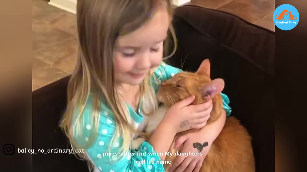 A young girl with long blonde hair smiles as she gently hugs an older orange tabby cat close to her chest.