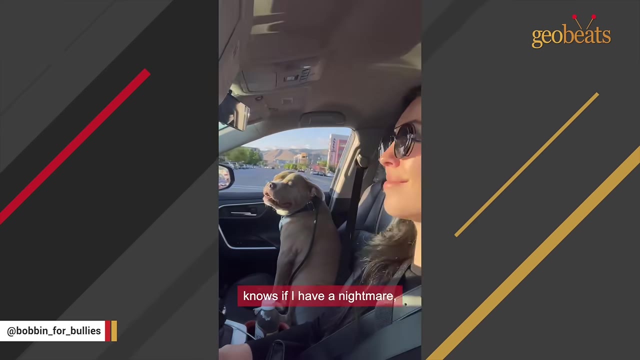 A woman wearing sunglasses sits in the driver's seat of a car, smiling, while a pit bull sits in the passenger seat beside her, looking out the window.