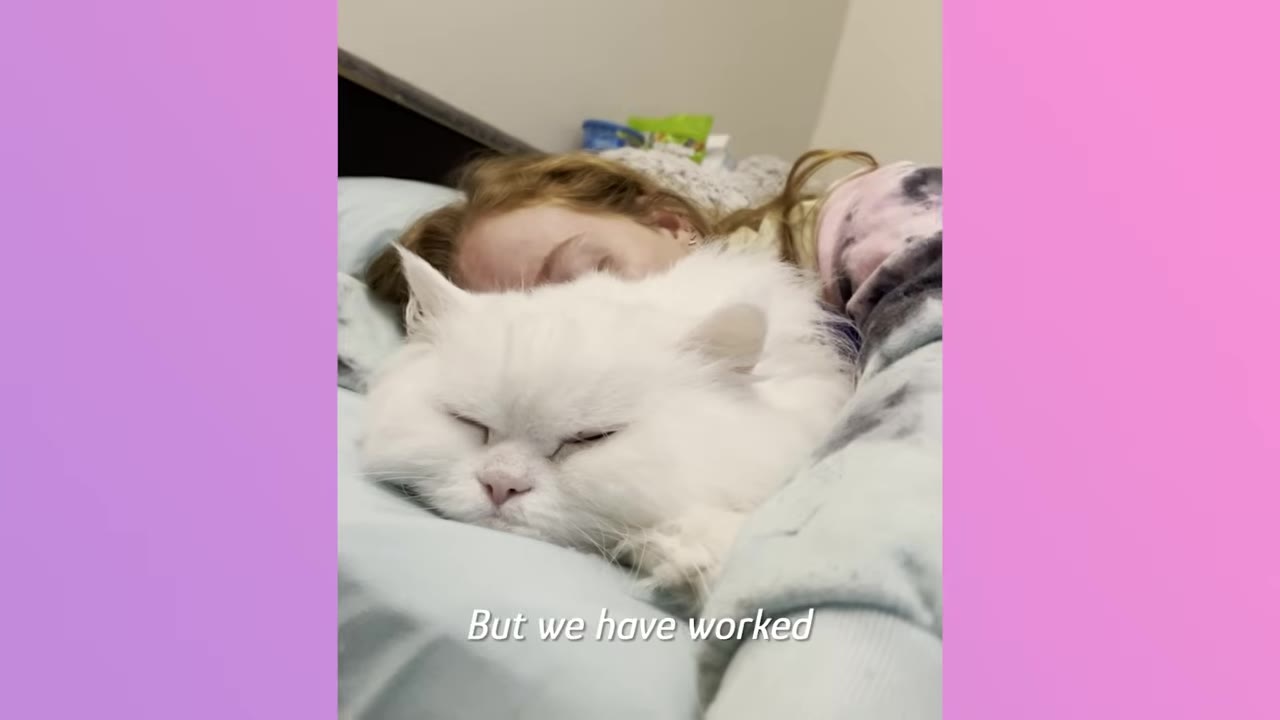 A fluffy white cat sleeps peacefully on a bed next to a young woman with reddish-brown hair.