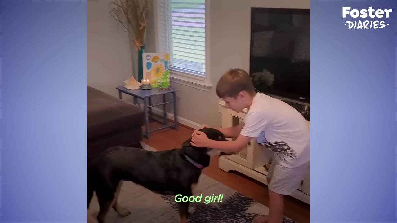 A young boy gently pats the head of a black and tan dog standing in a living room.