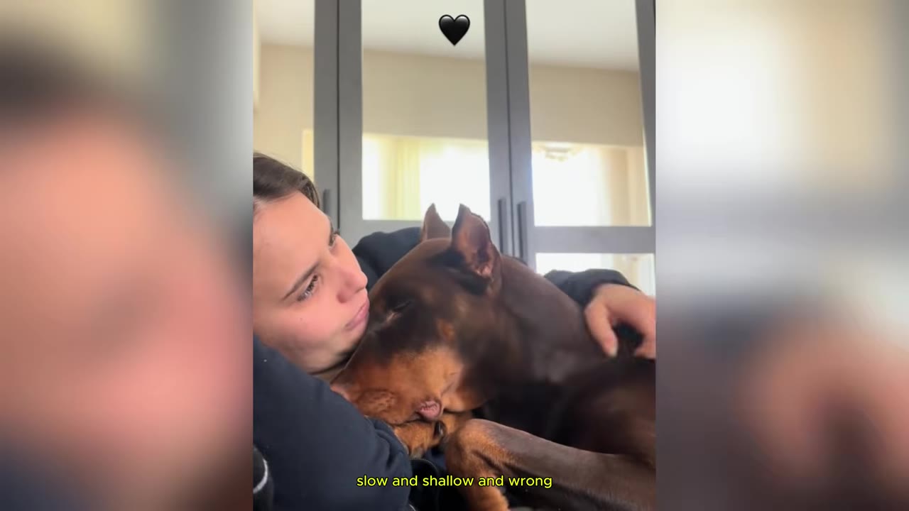 A close-up shot of a woman hugging a brown Doberman pinscher as it rests its head against her chest.