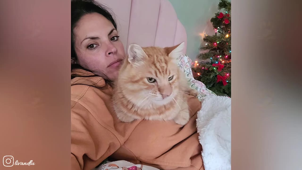An orange tabby cat rests comfortably on a woman's chest as she lies in bed, with a decorated Christmas tree visible in the background.