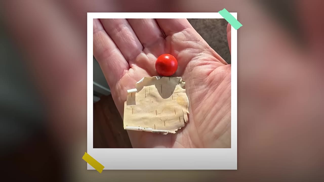 A close-up photograph styled as a polaroid showing a person's open palm holding a small, shiny red bead and a piece of birch bark.