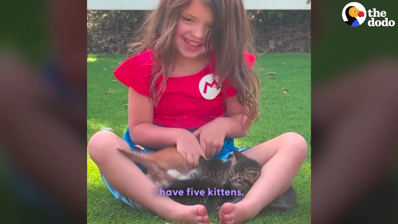A young girl with long brown hair, wearing a red shirt with a Mario logo, sits cross-legged on green grass and smiles while holding several small kittens in her lap.