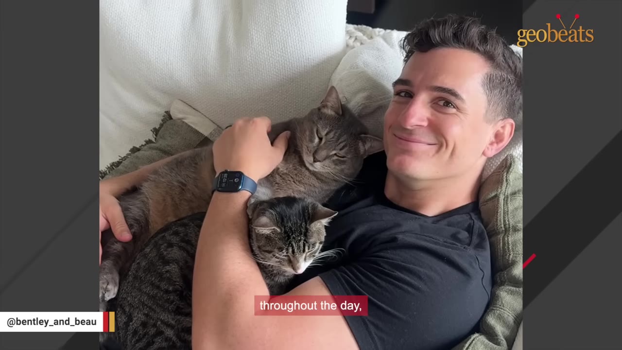 A smiling man lies on a couch cuddling two cats, a grey one and a tabby one, resting on his chest.