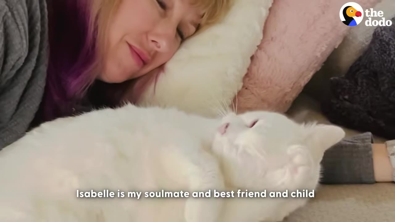 A woman with purple-streaked hair lies on a pillow, smiling warmly at her white cat who is lying on its back next to her.