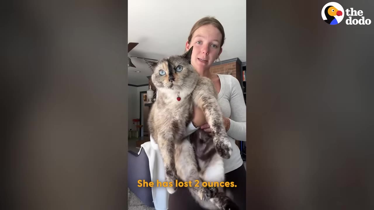A woman holding a large, fluffy tortoiseshell cat with blue eyes, with a subtitle reading 'She has lost 2 ounces.'
