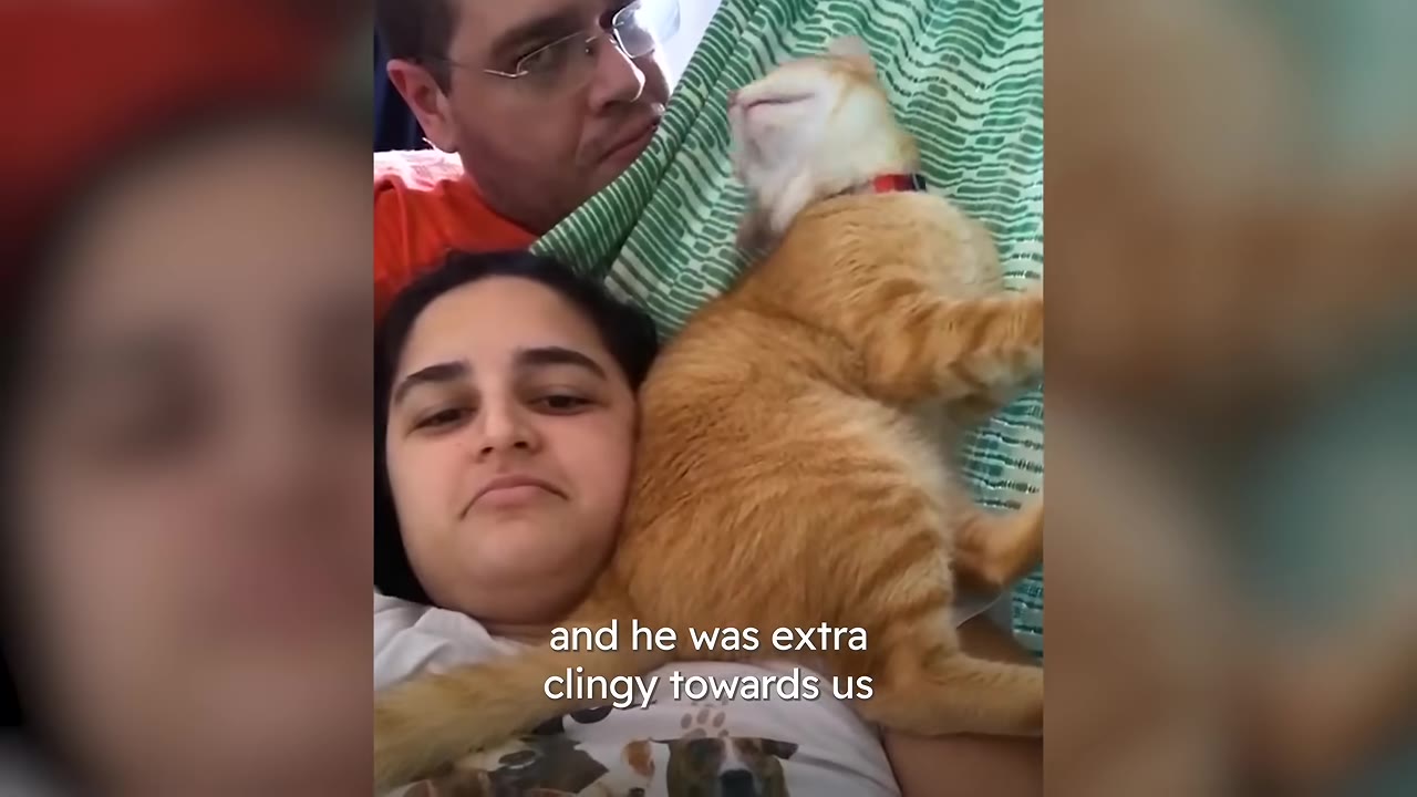 An orange tabby cat lies comfortably on a woman's chest while a man looks on from behind them on a green striped hammock.
