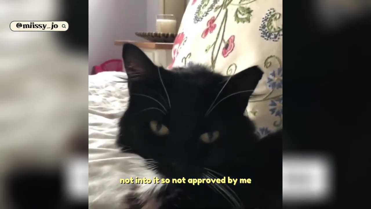 A close-up of a fluffy black cat with yellow eyes resting on a white bed next to a floral patterned pillow.