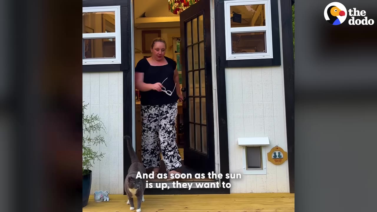 A woman in a black shirt and patterned pants steps out of a white garden house onto a wooden deck, preceded by a grey and white cat.