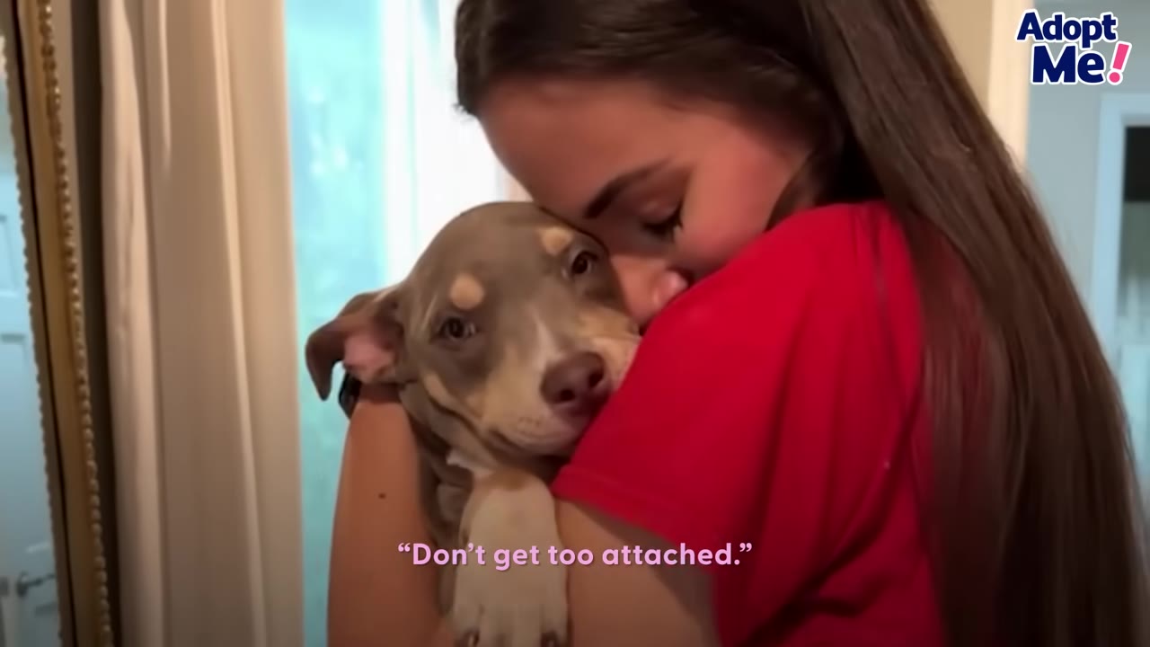 A young woman with long brown hair hugs a small brown and white puppy close to her chest, with the subtitle 'Don't get too attached.' appearing on screen.