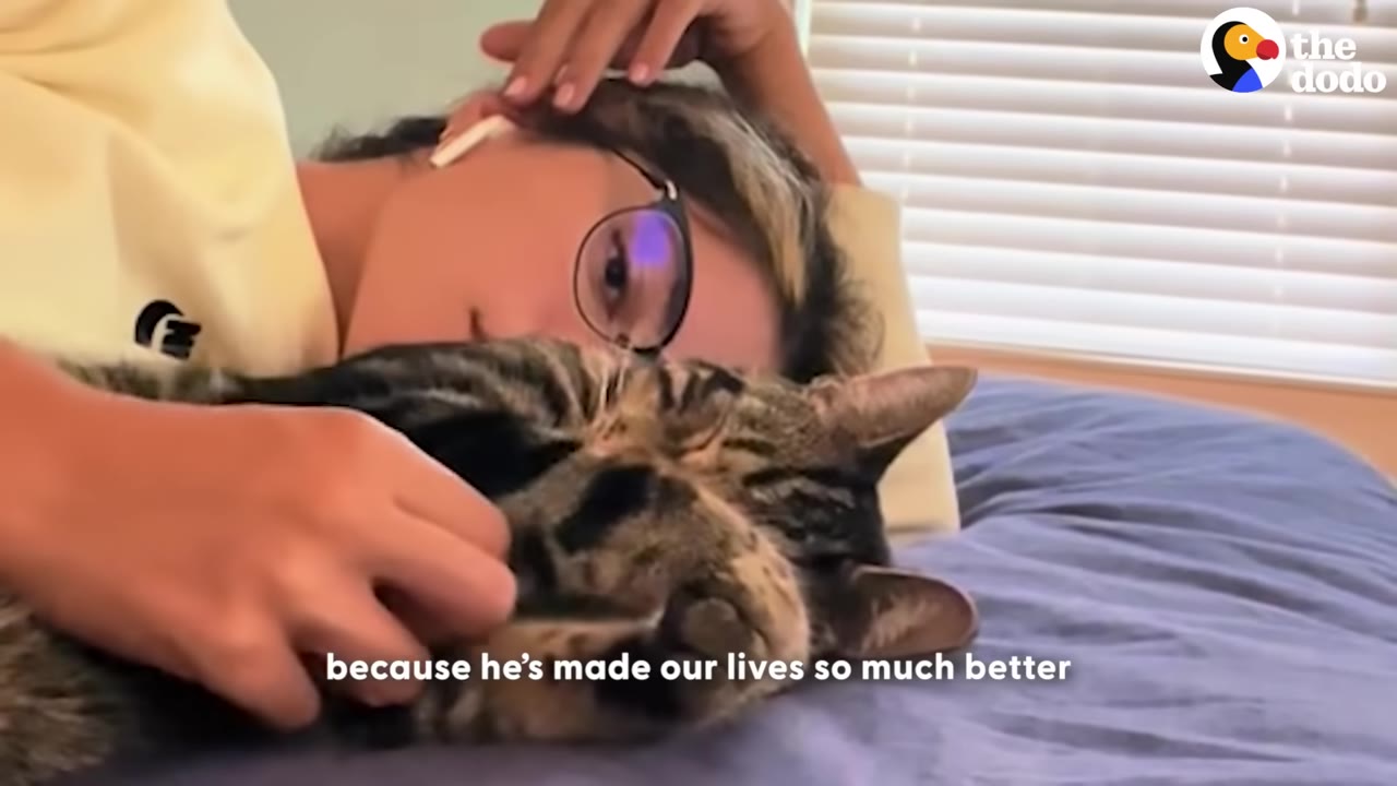 A person wearing glasses lies on a bed, smiling gently while cuddling and petting a sleeping tabby cat.