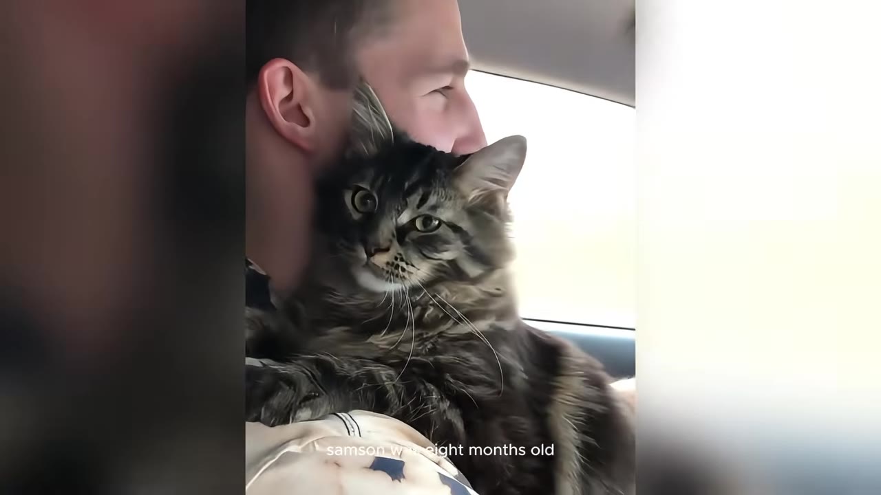A close-up of a man holding a large, fluffy tabby cat close to his chest inside a car.